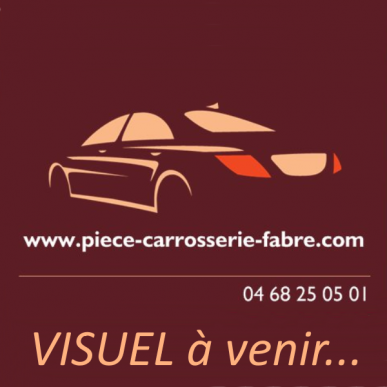 Capot moteur Carbone